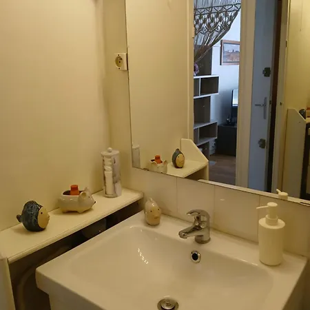 Cosy Et Calme Entre Centre-ville Et Nature * グルノーブル