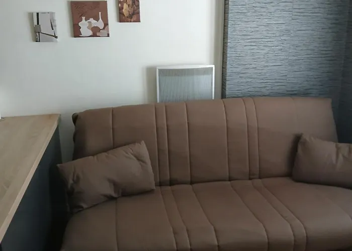 Appartement Cosy Et Calme Entre Centre-ville Et Nature *